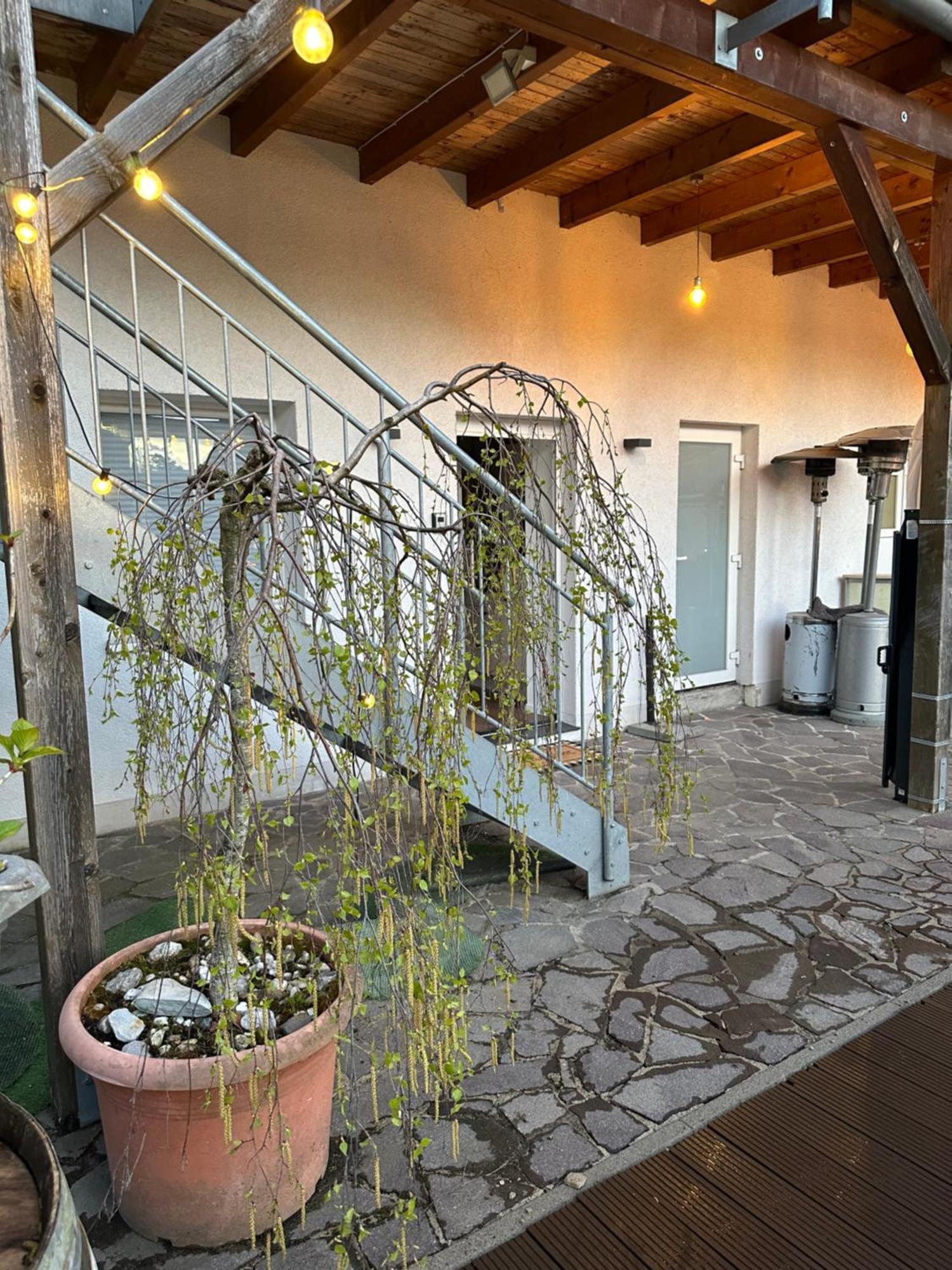 Mola Apartments-Apartment Im Herdecker Zentrum Fuer 3 Gaeste-Gratis Parkplatz-Highspeed Wlan-Auch Fuer Langzeit Geeignet Εξωτερικό φωτογραφία